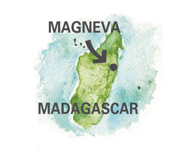 Carte Madagascar CoopÃ©rative MAGNEVA Cou de girofle bio Ã©quitable
